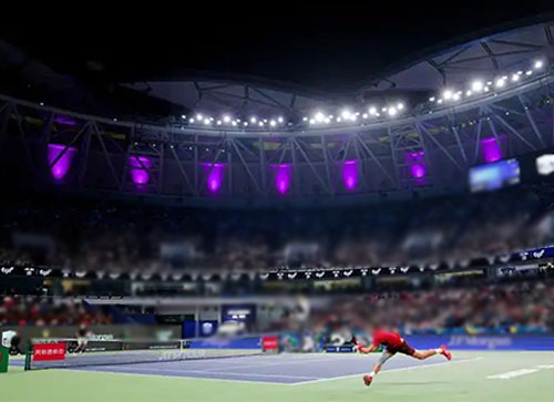 平湖市体育比赛